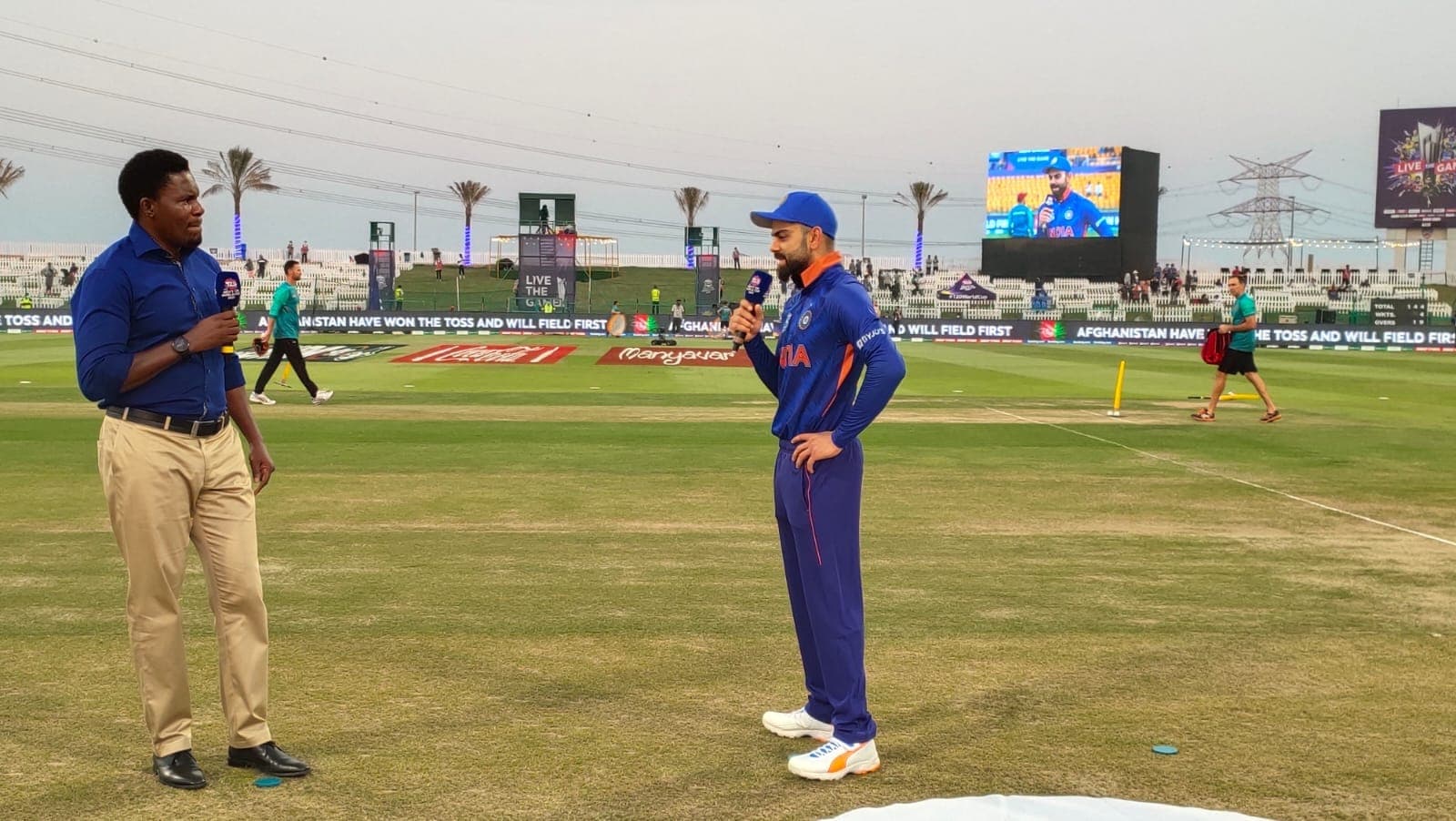 How should India skin the Twenty20 cat?